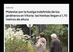 Enlace a Huelga de jardineros