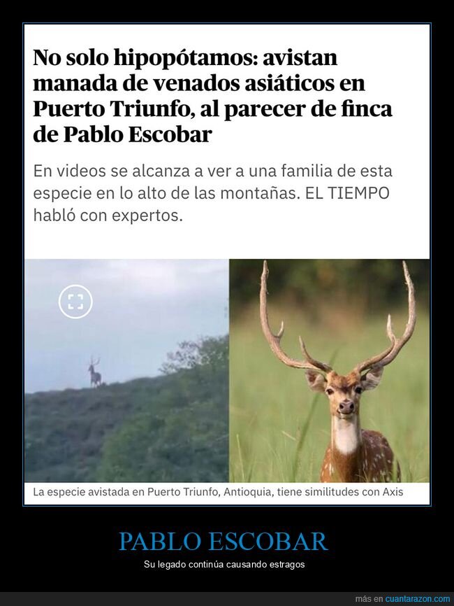 pablo escobar,venados