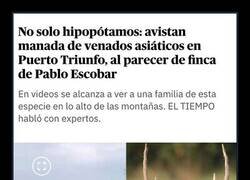 Enlace a El legado de Pablo Escobar sigue muy presente