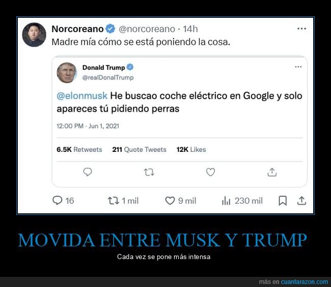 donald trump,elon musk,pelea