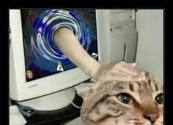 Enlace a Consuelo online