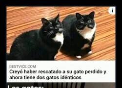 Enlace a ¿Cuál es el auténtico?