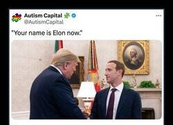 Enlace a El nuevo Elon