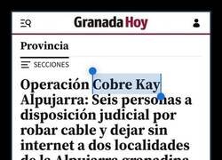 Enlace a Masters of naming policial