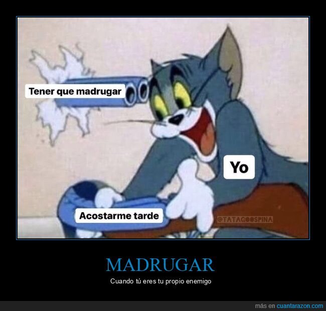 madrugar,acostarse tarde