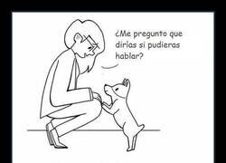 Enlace a Si pudieran hablar...
