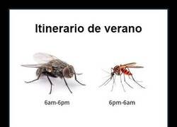 Enlace a Horarios bien definidos