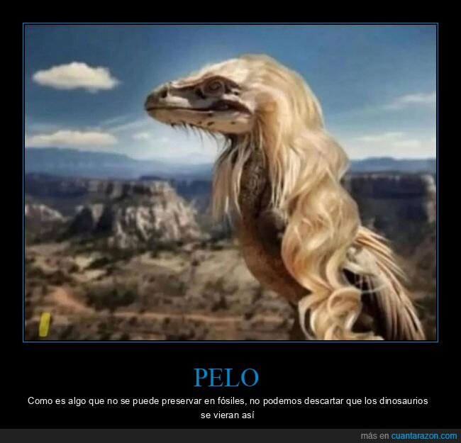 dinosaurios,fósiles,pelo