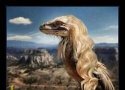 Enlace a No podemos descartarlo...