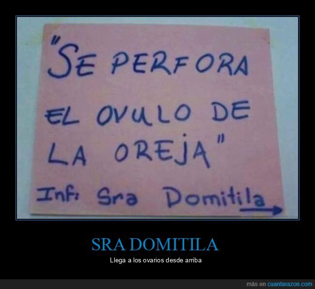 carteles,lóbulo,oreja,óvulo,perforar