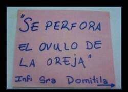 Enlace a La técnica de la Sra Domitila