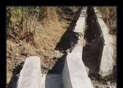 Enlace a Falta de coordinación