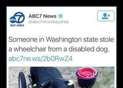 Enlace a Ya hay que ser miserable...