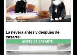 Enlace a Brillantes Imágenes que retratan cómo cambia tu vida después del Matrimonio