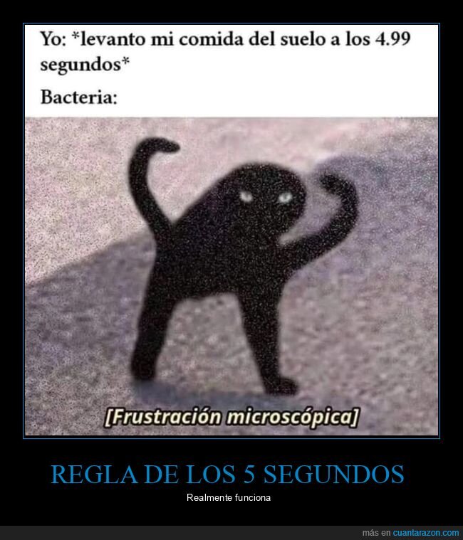 comida,suelo,bacteria