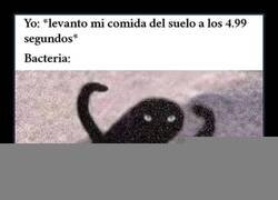 Enlace a Bacteria frustrada