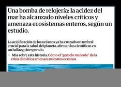 Enlace a Los océanos en estado crítico