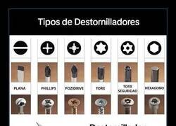 Enlace a El destornillador universal