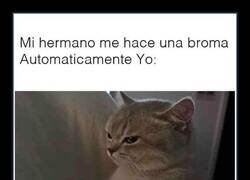 Enlace a Broma no autorizada