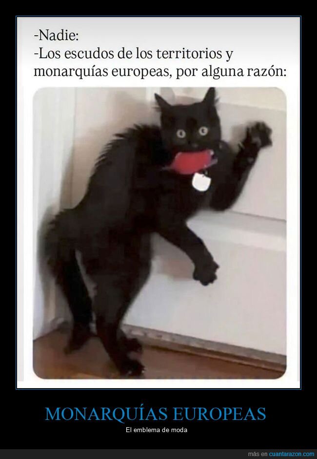 escudos,gatos,monarquías