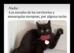 Enlace a Escudo promedio