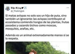 Enlace a Sabemos bien quién escribe esto...