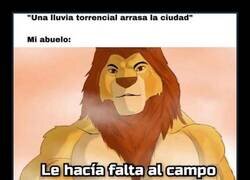 Enlace a Típico de abuelo