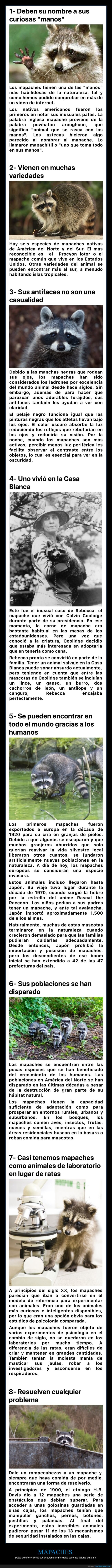 mapaches,curiosidades
