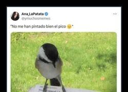 Enlace a Mirándose a sí mismo