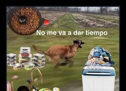 Enlace a Todos los días así