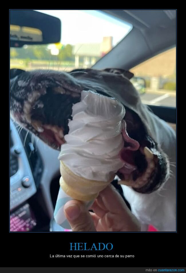helado,perro