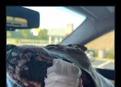 Enlace a Capturando el momento exacto en el que se quedó sin helado