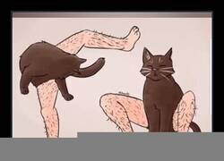 Enlace a No necesitaba ver algo así