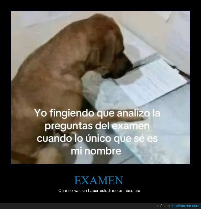 examen,preguntas