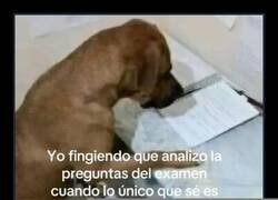 Enlace a Estudiante poco preparado