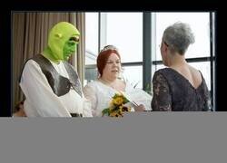 Enlace a Boda temática