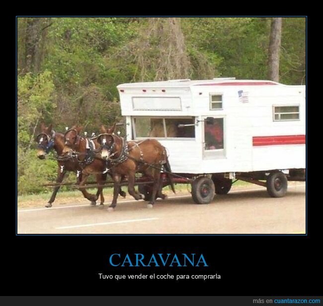 caravana,caballos
