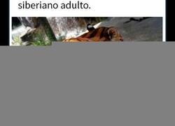 Enlace a Datos inquietantes sobre el mundo en el que vivimos