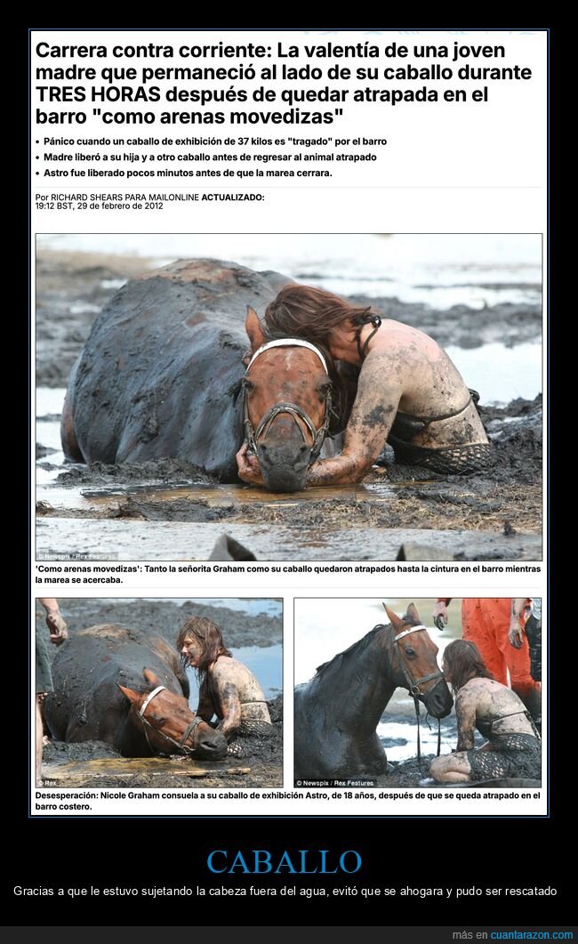 caballo,barro,atrapado