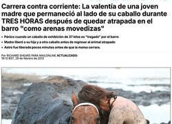 Enlace a Aguantando para salvar a su caballo