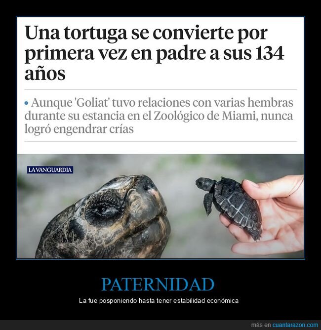 edad,padre,tortuga