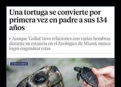 Enlace a Nunca es tarde