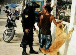 Enlace a Ya está acostumbrado