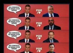 Enlace a Rodeado de desconocidos