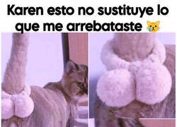 Enlace a Gato indignado