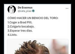 Enlace a Haciendo a Benicio del Toro