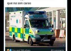 Enlace a Ejemplos de ignorancia estadounidense a niveles absurdos