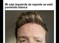 Enlace a Imágenes interesantes y curiosas del cuerpo humano