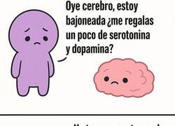 Enlace a Cerebro, por favor...