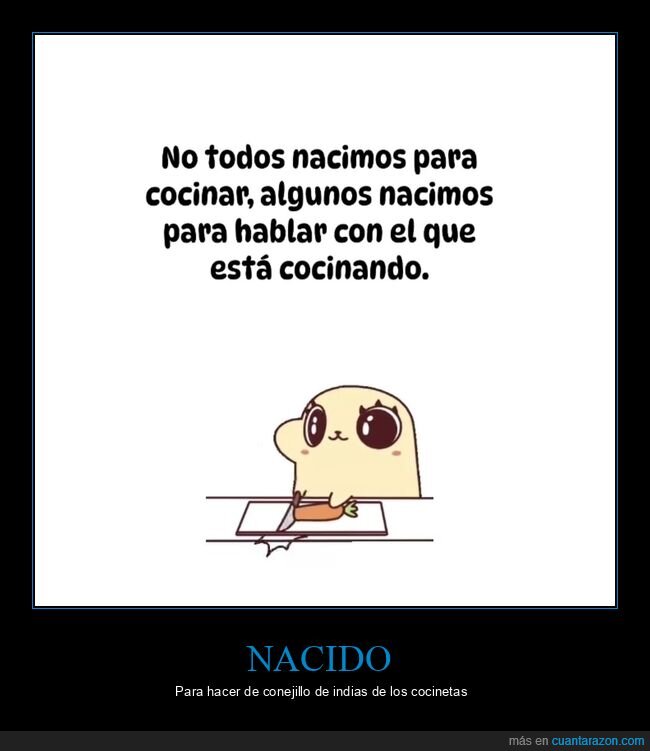 probar,comida,cocinar